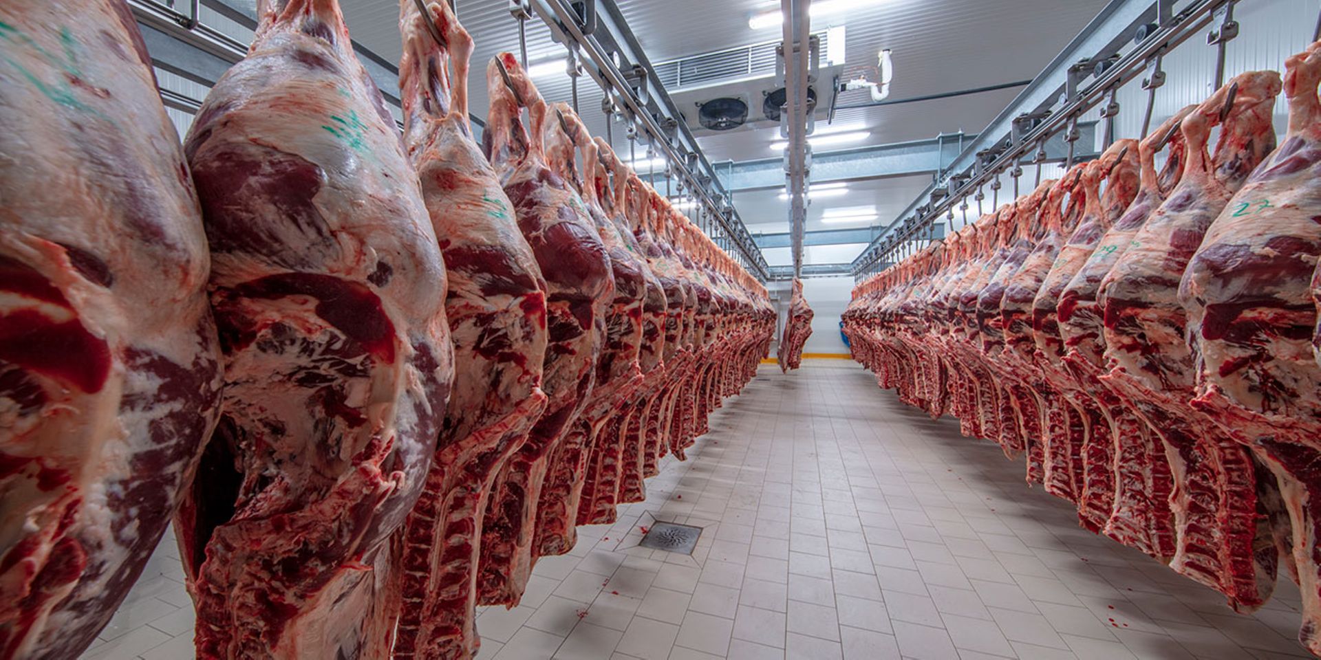 Meat Processing